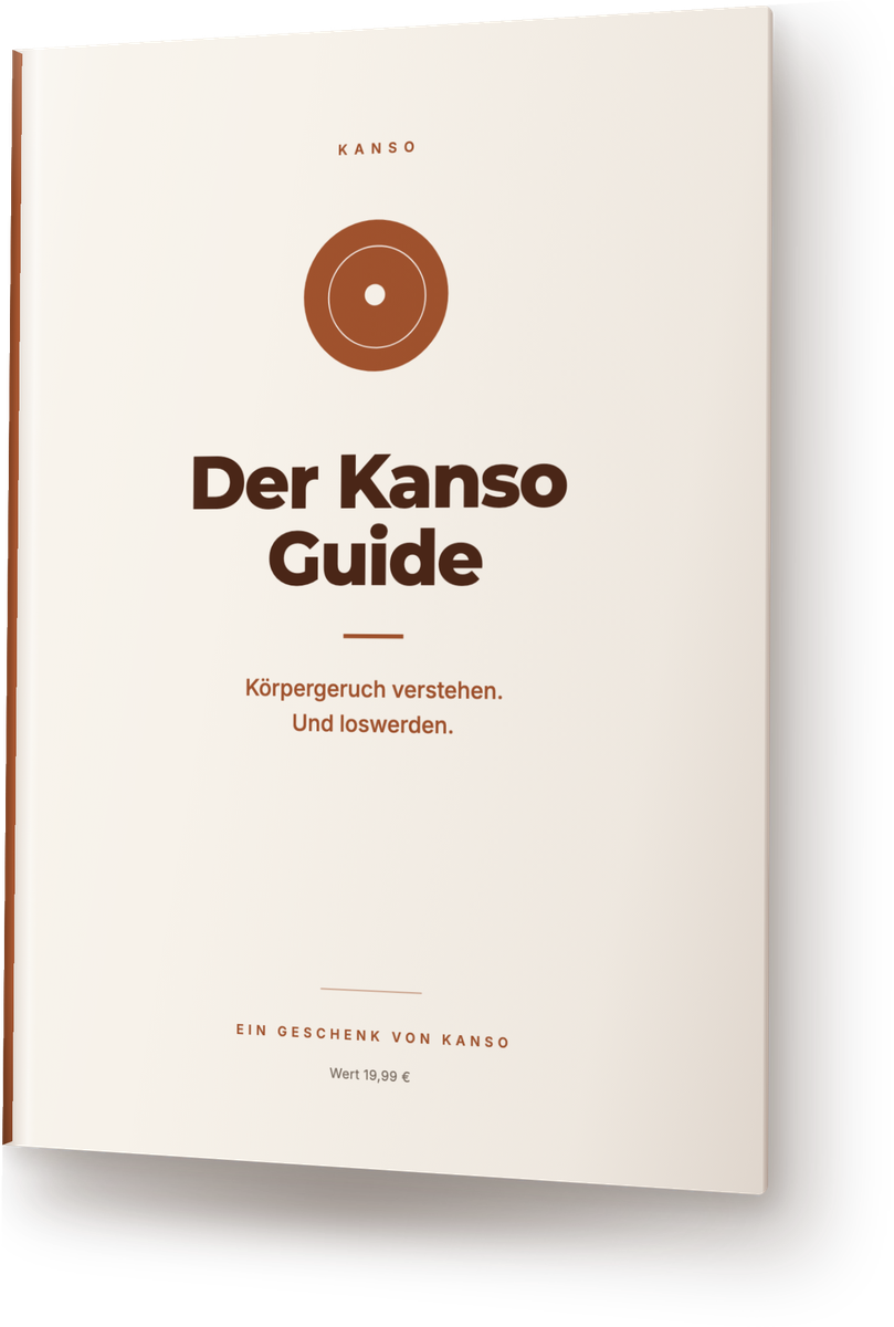 Der Kanso Guide